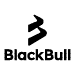 Reseña de BlackBull Markets logo