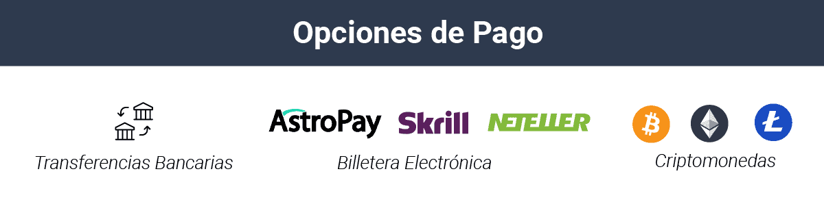 Opciones de pago