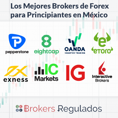 los-mejores-bropkers-de-forex-para-principiantes-en-mx
