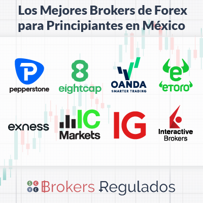 los mejores bropkers de forex para principiantes en mx